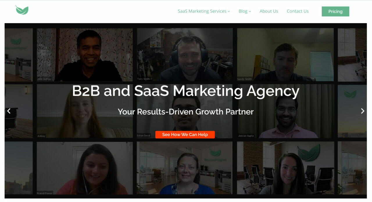 Bay Leaf Digital Agency home page