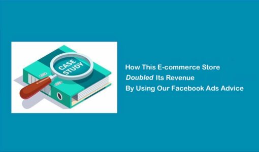 How This Ecommerce Store Doubled Its Revenue Using Our Facebook Ads Advice